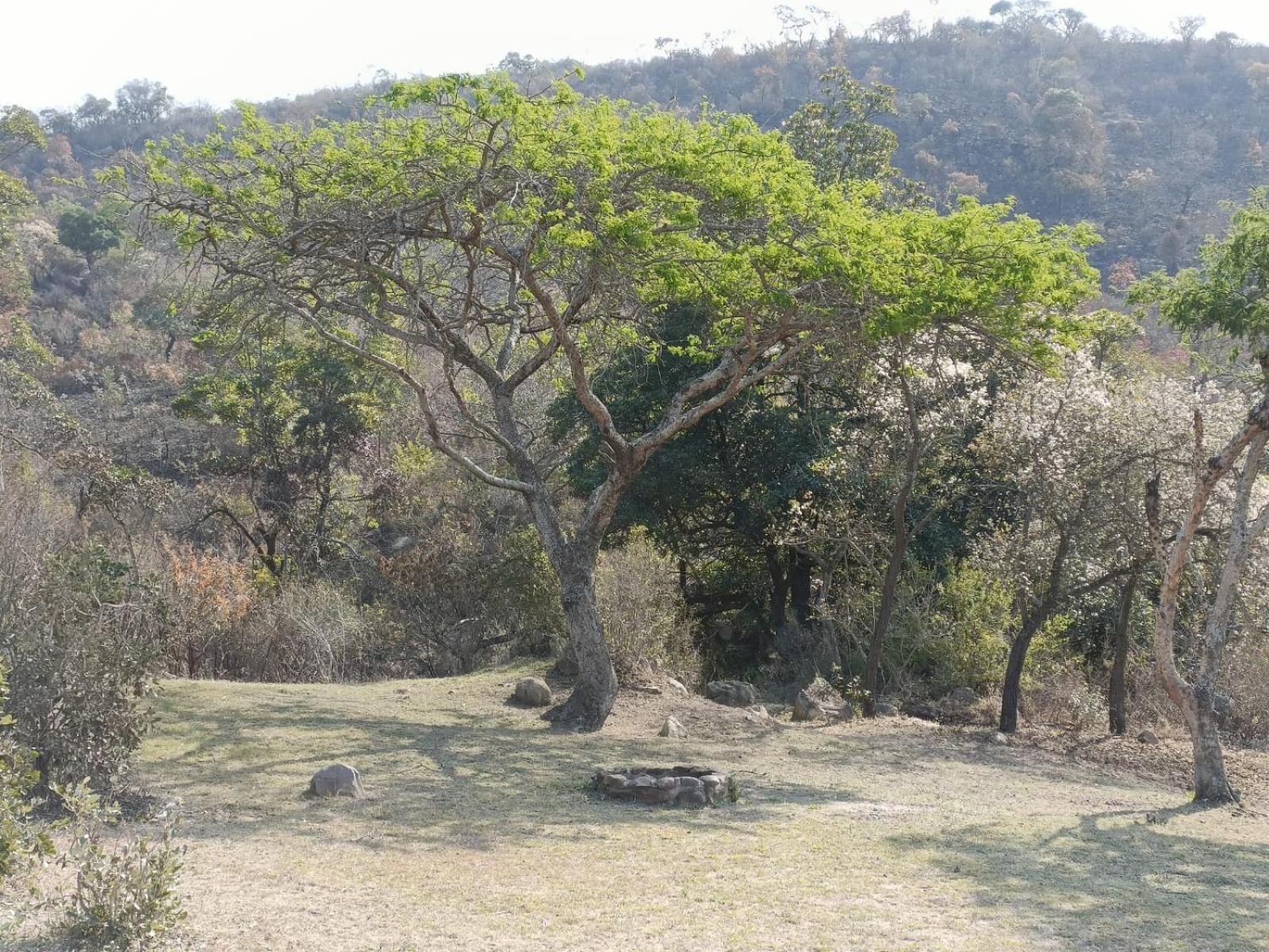 Muluwa Lodge White River Ngoại thất bức ảnh